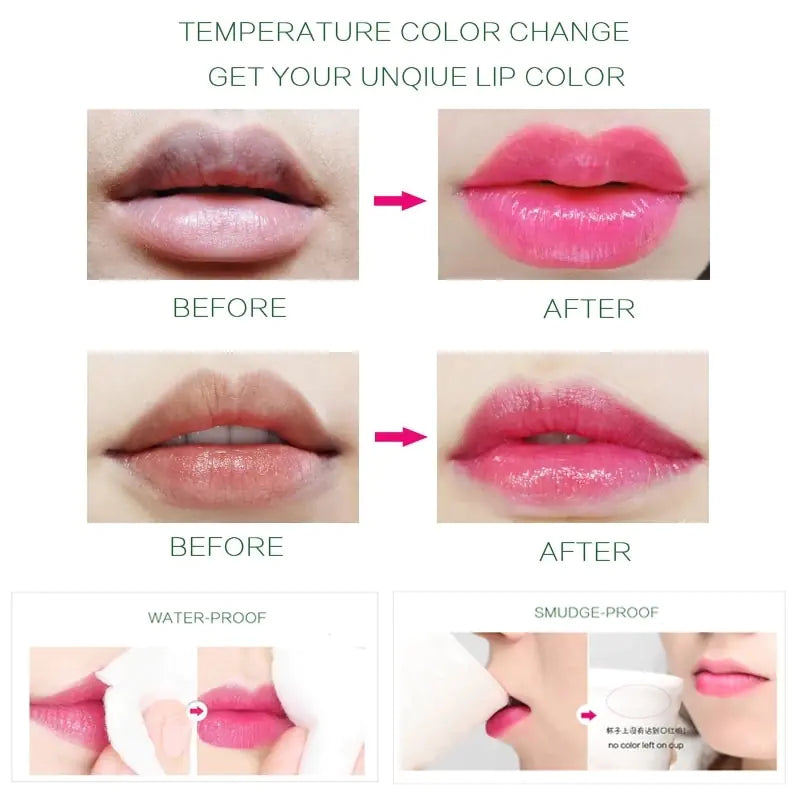 Aloe Vera Lip Balm