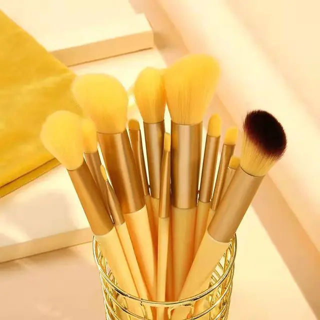 13Pcs Makeup Brushes Set